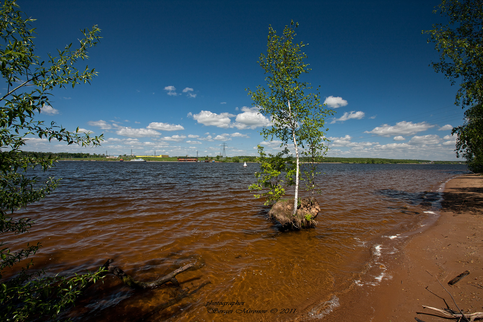 Клязьминский заказник фото